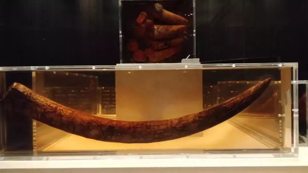 EVO视讯·(中国游)官方网站