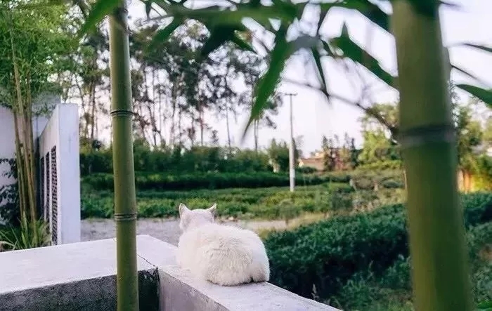 EVO视讯·(中国游)官方网站