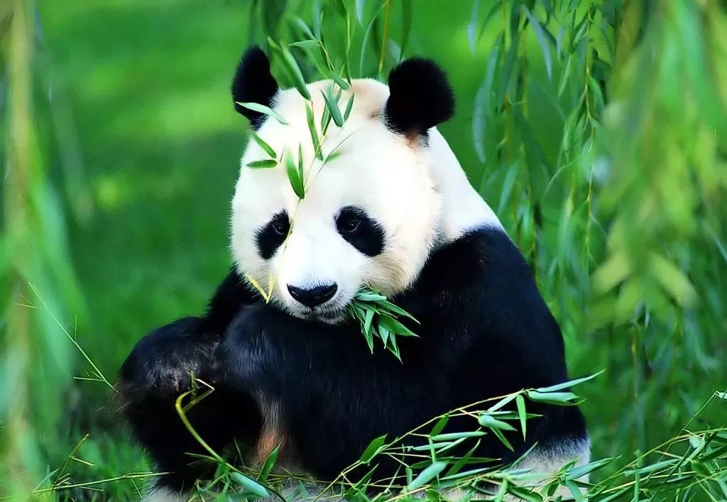 EVO视讯·(中国游)官方网站