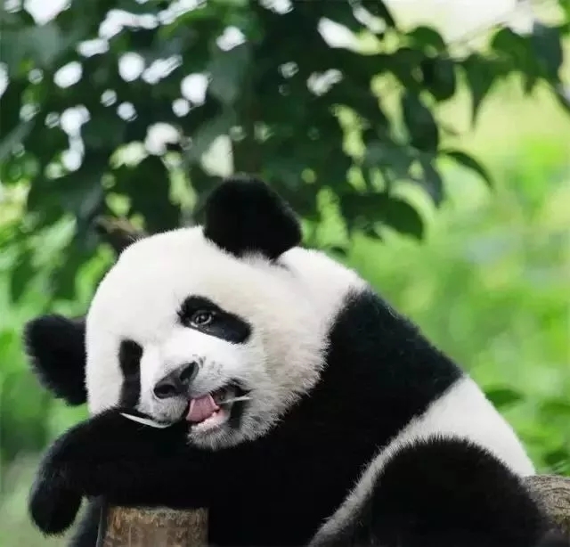 EVO视讯·(中国游)官方网站