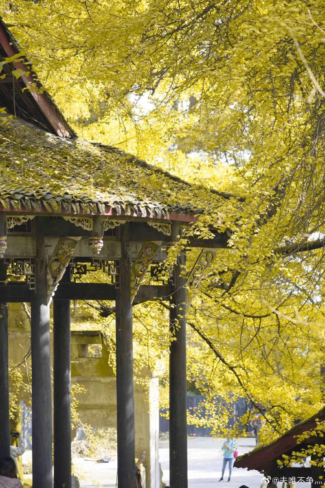 EVO视讯·(中国游)官方网站