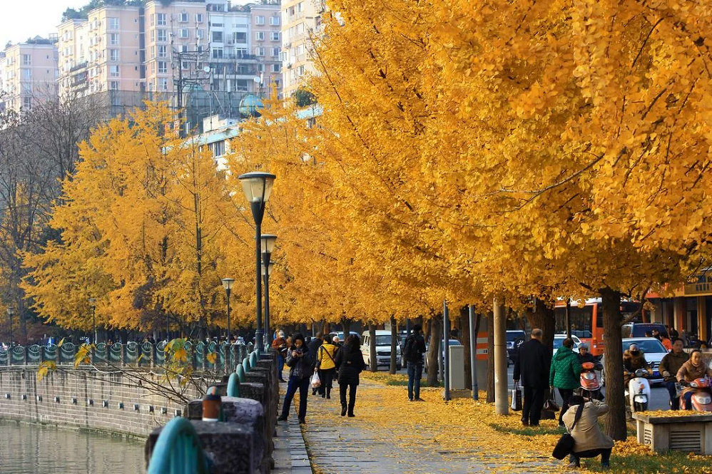 EVO视讯·(中国游)官方网站