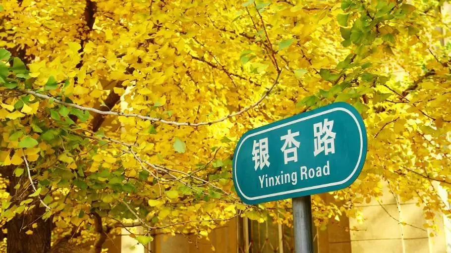 EVO视讯·(中国游)官方网站