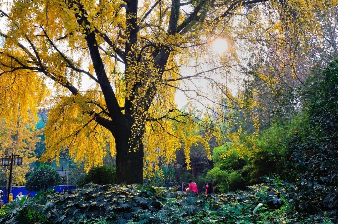 EVO视讯·(中国游)官方网站