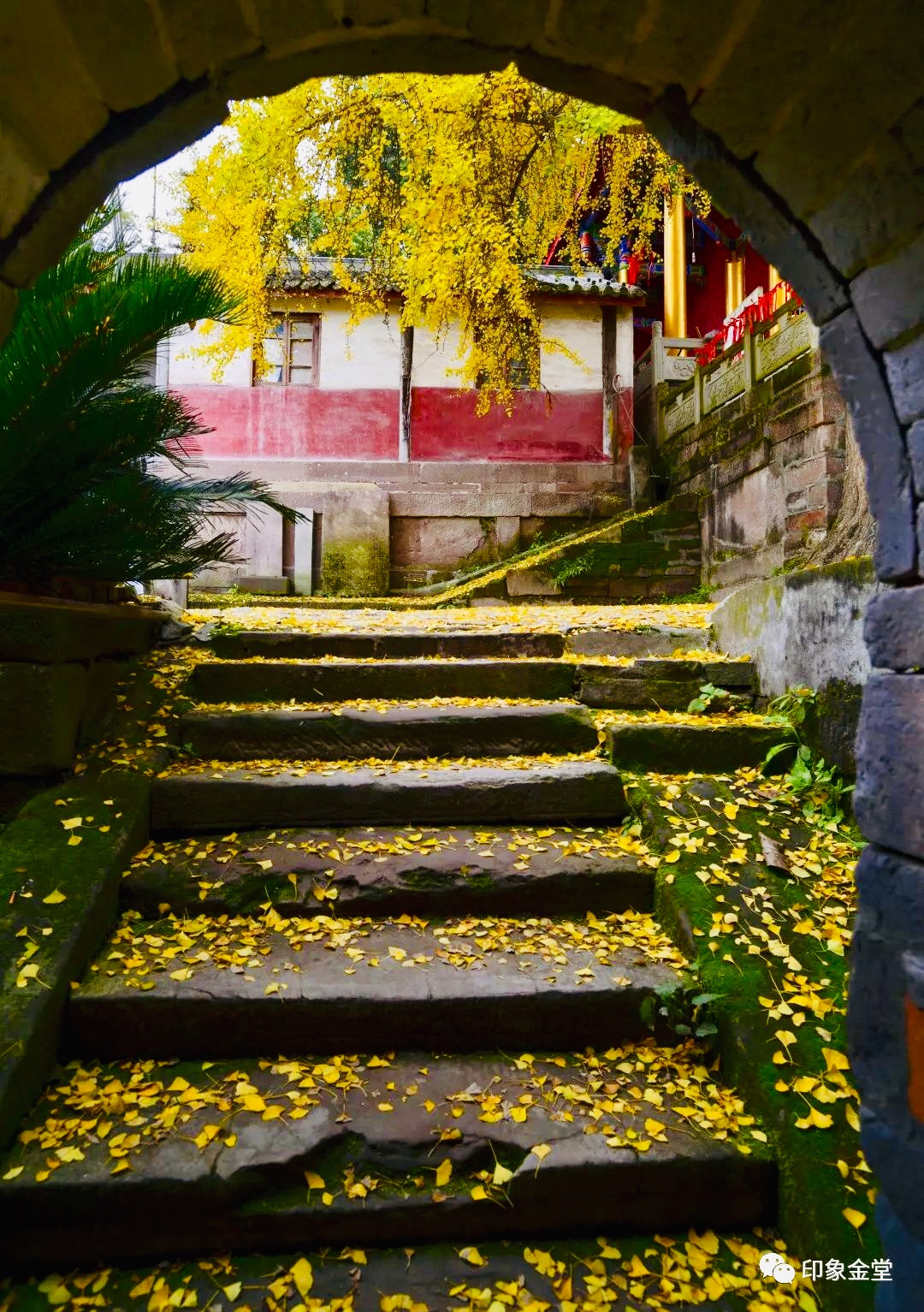 EVO视讯·(中国游)官方网站