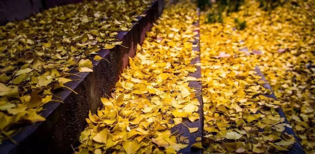 EVO视讯·(中国游)官方网站