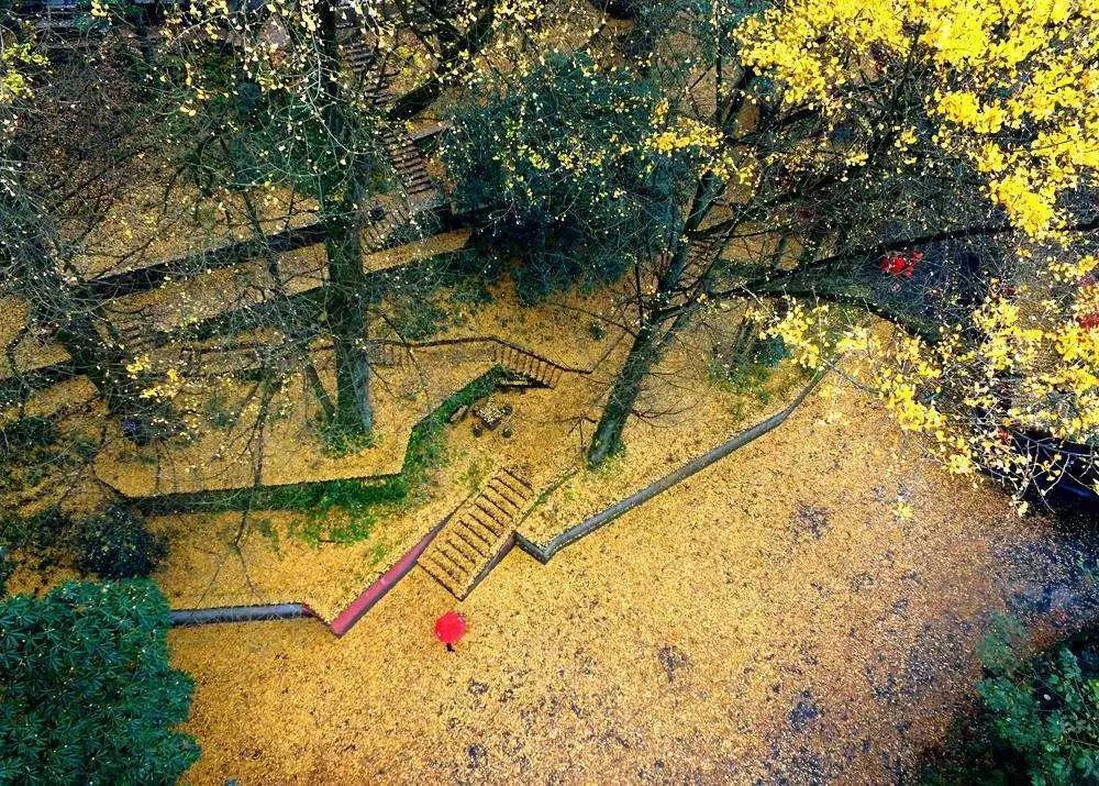 EVO视讯·(中国游)官方网站