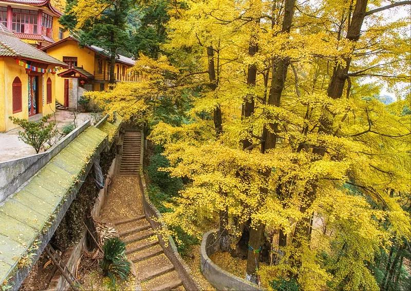 EVO视讯·(中国游)官方网站