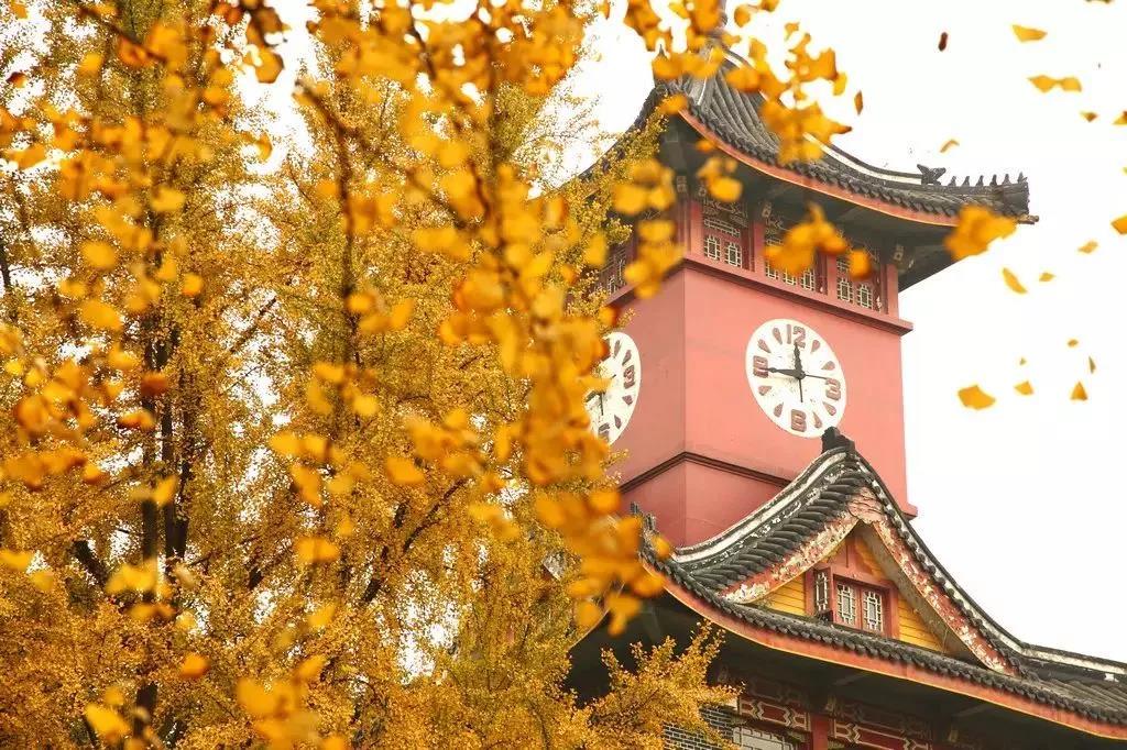 EVO视讯·(中国游)官方网站