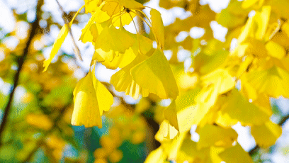 EVO视讯·(中国游)官方网站