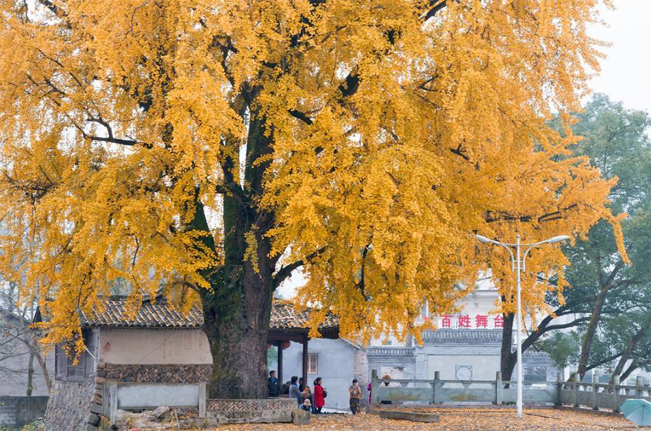 EVO视讯·(中国游)官方网站