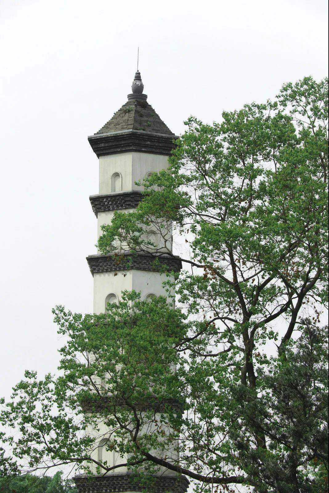 EVO视讯·(中国游)官方网站