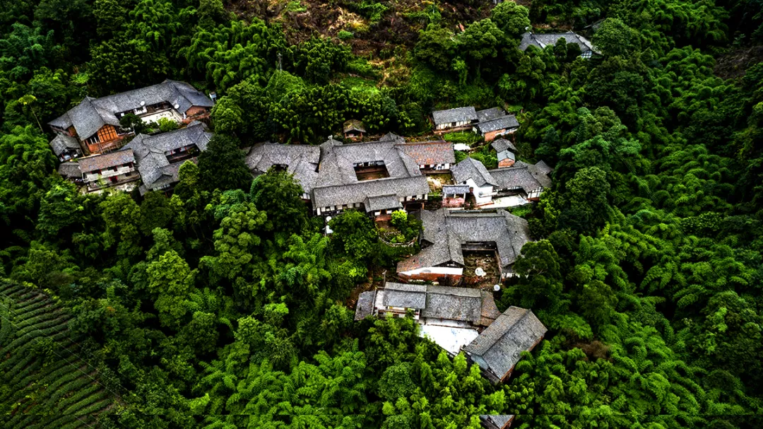 EVO视讯·(中国游)官方网站