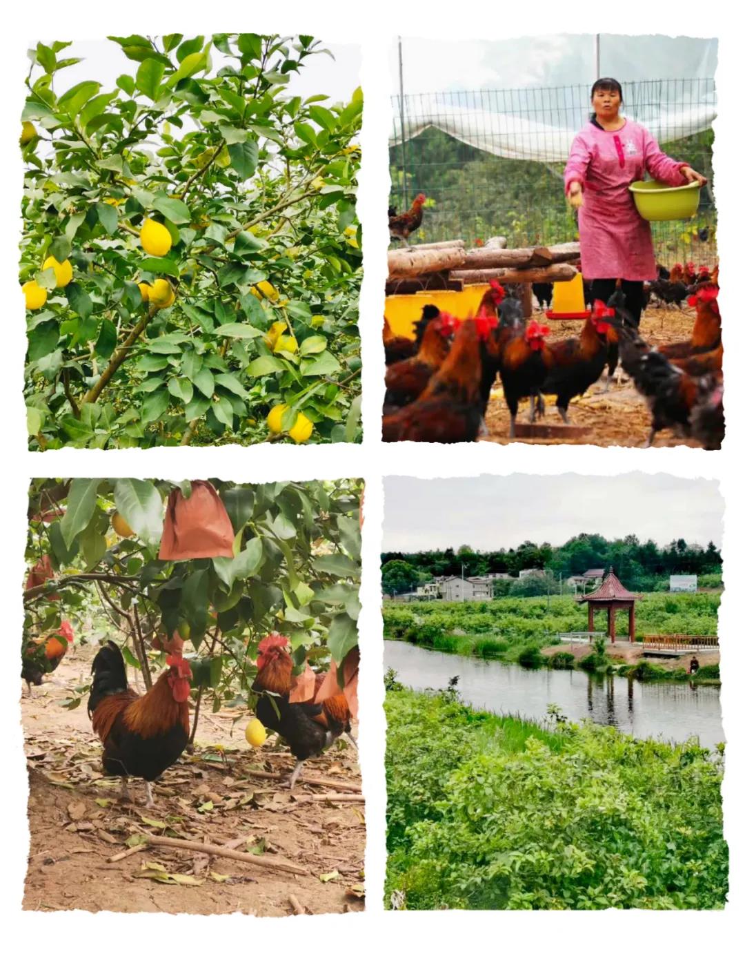 EVO视讯·(中国游)官方网站