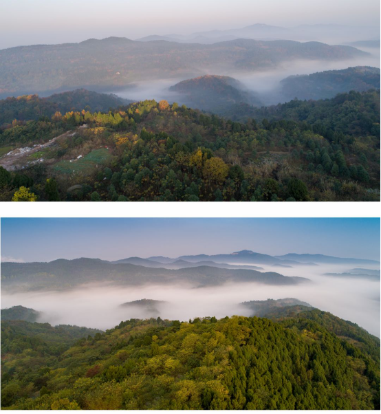 EVO视讯·(中国游)官方网站