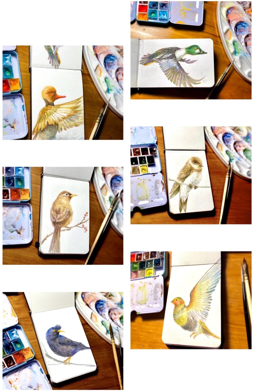 EVO视讯·(中国游)官方网站