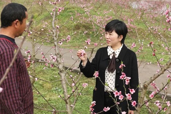 EVO视讯·(中国游)官方网站