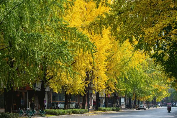 EVO视讯·(中国游)官方网站