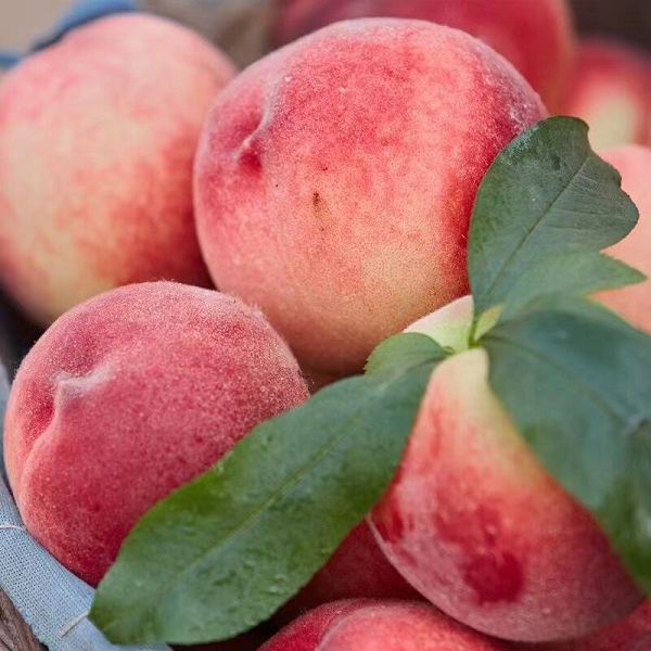 EVO视讯·(中国游)官方网站