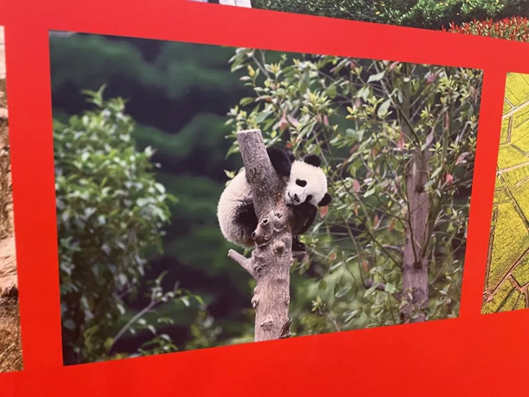 EVO视讯·(中国游)官方网站