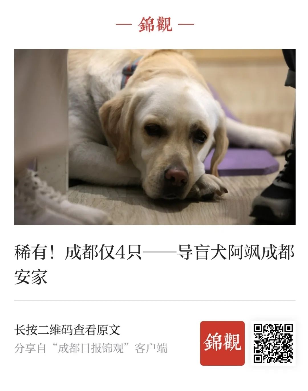 EVO视讯·(中国游)官方网站